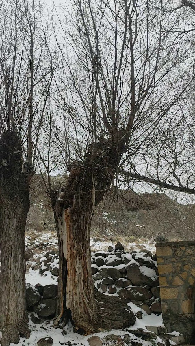 Hançerli Piknik Mesire Alanı — fotoğraf 2