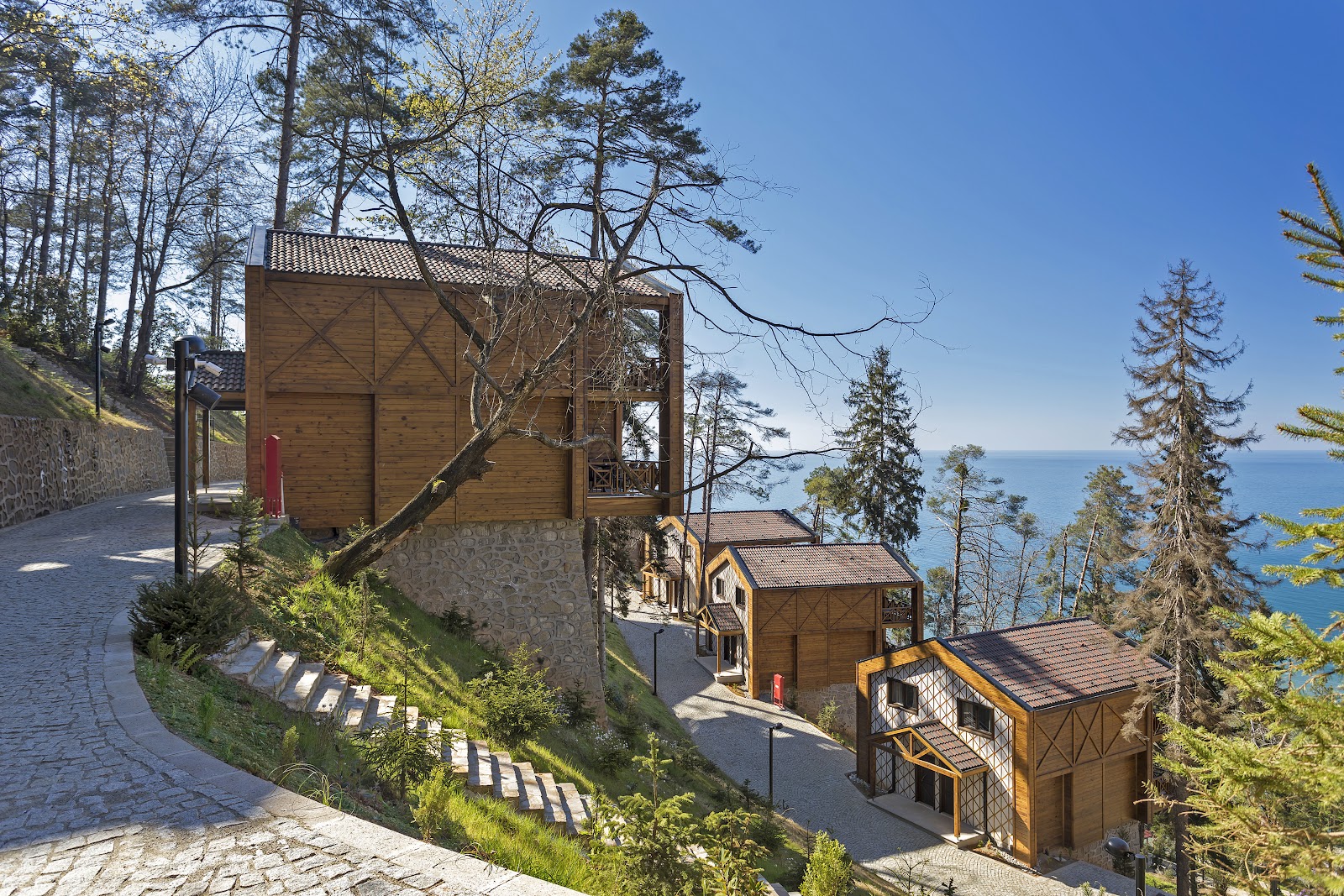 Hancıoğlu Çamburnu Orman Evleri & Otel — fotoğraf 1