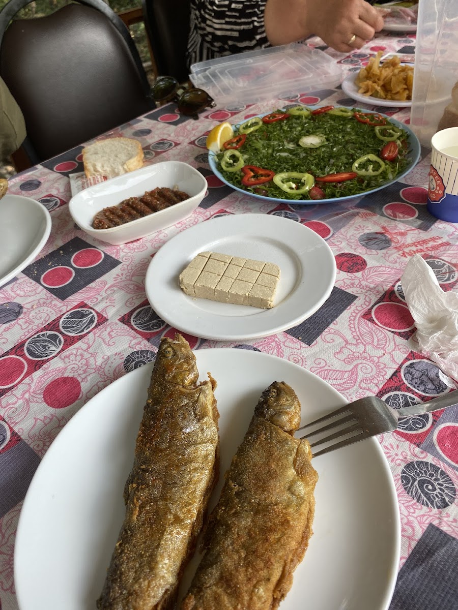 Hancıoğullari Alabalik Tesisleri — fotoğraf 4