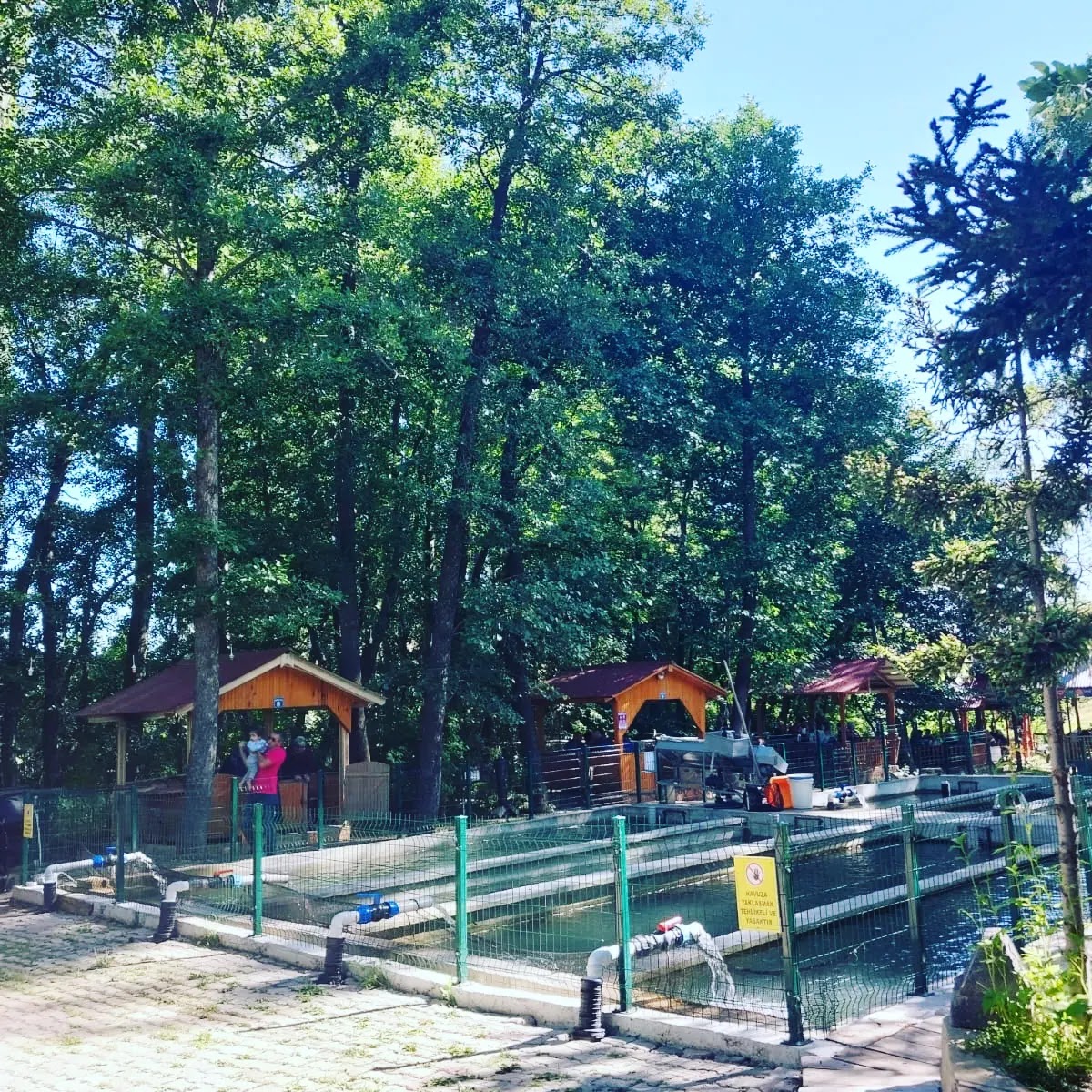 Hancıoğullari Alabalik Tesisleri — fotoğraf 6