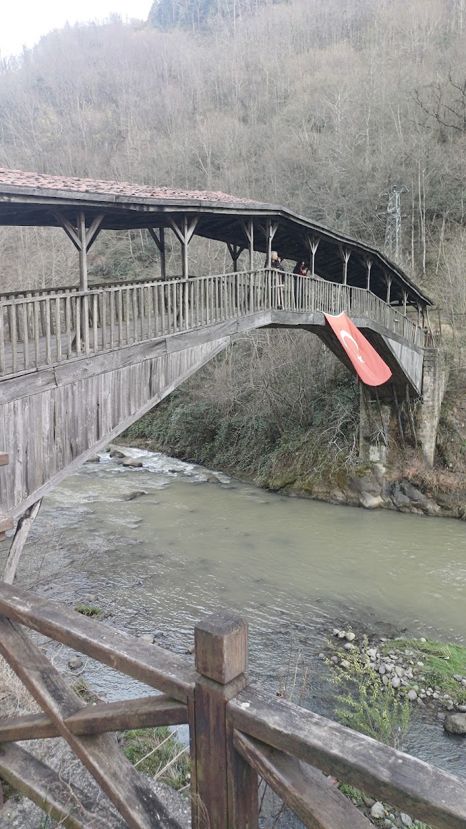 Hapsiyaş Köprüsü — fotoğraf 2