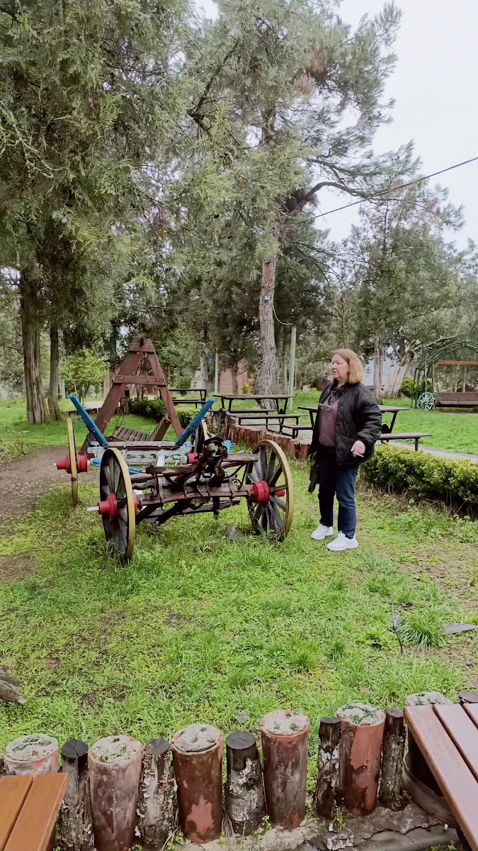 Harmancık Eko Turizm Tesisleri — photo 5