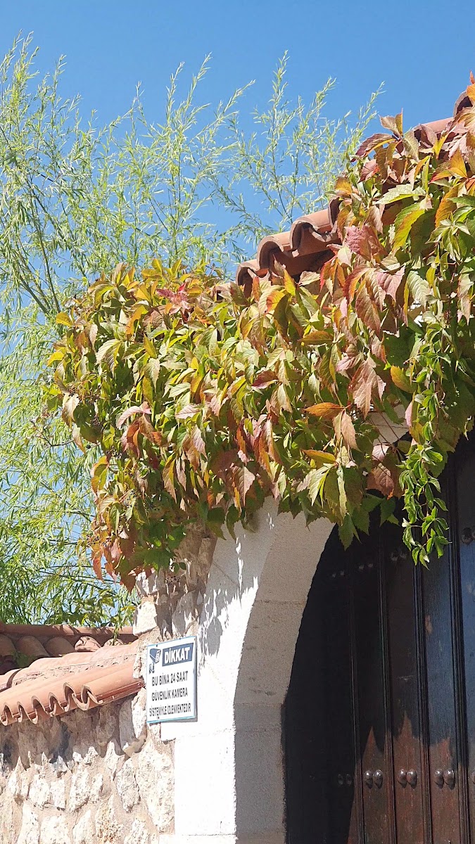 Harput Kahve Fincanı Müzesi — fotoğraf 3