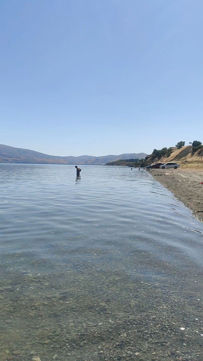 Harzo Dayı Balık Evi — fotoğraf 3
