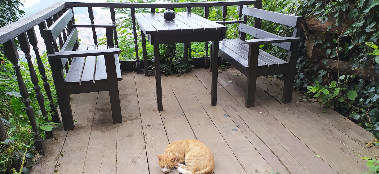 Hasan Tepe Çay Bahçesi — fotoğraf 4