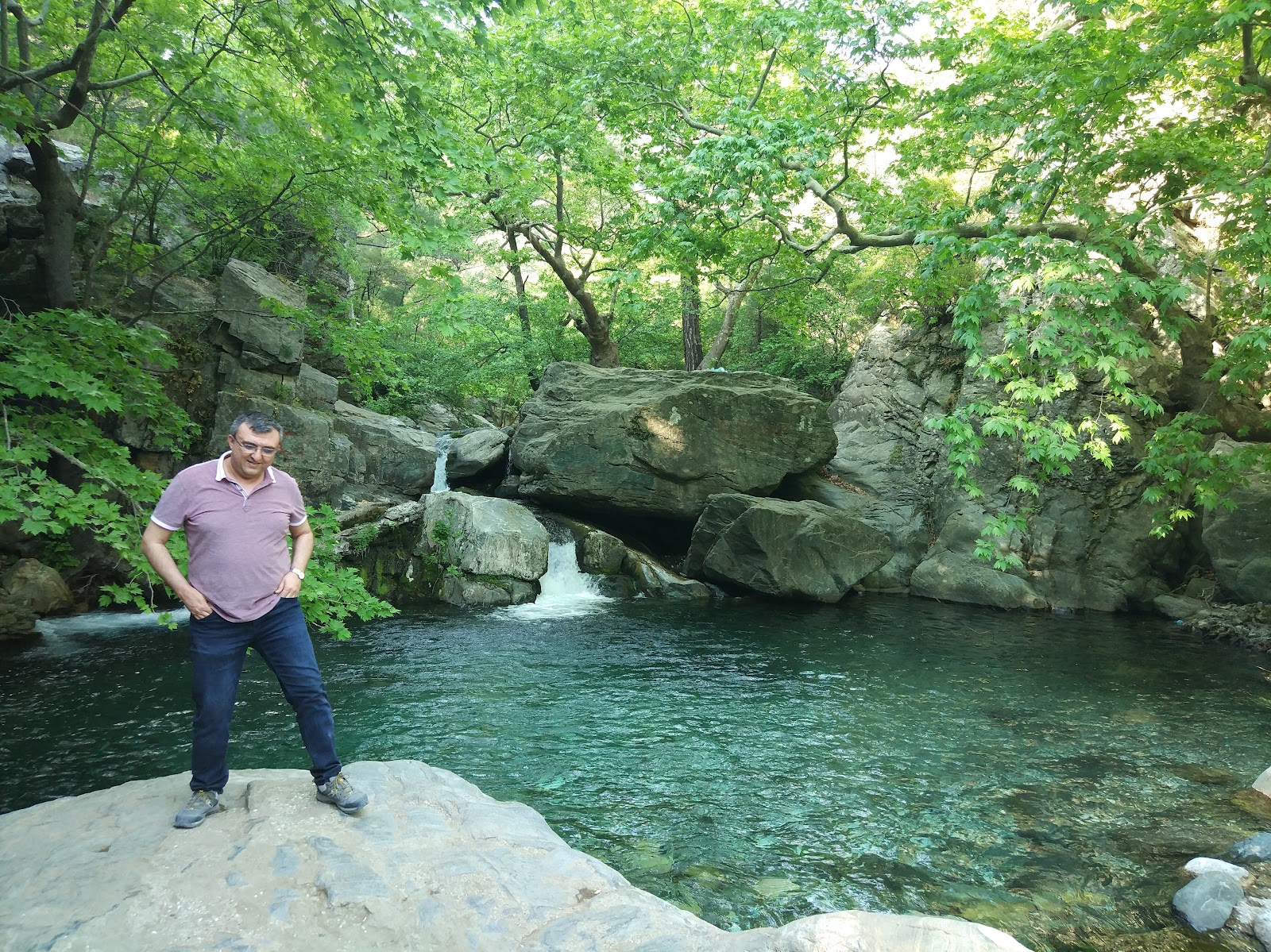 Hasanboğuldu Piknik Alanı — fotoğraf 4