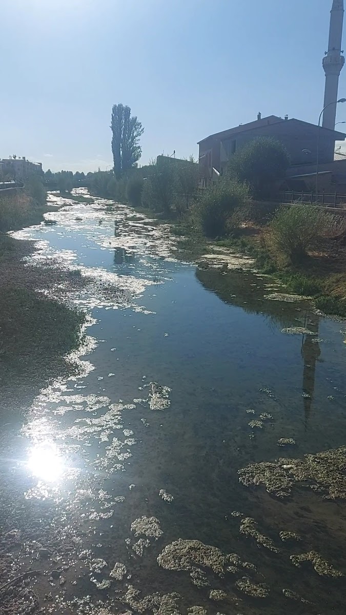 Hasankale Kaplıcaları — fotoğraf 3
