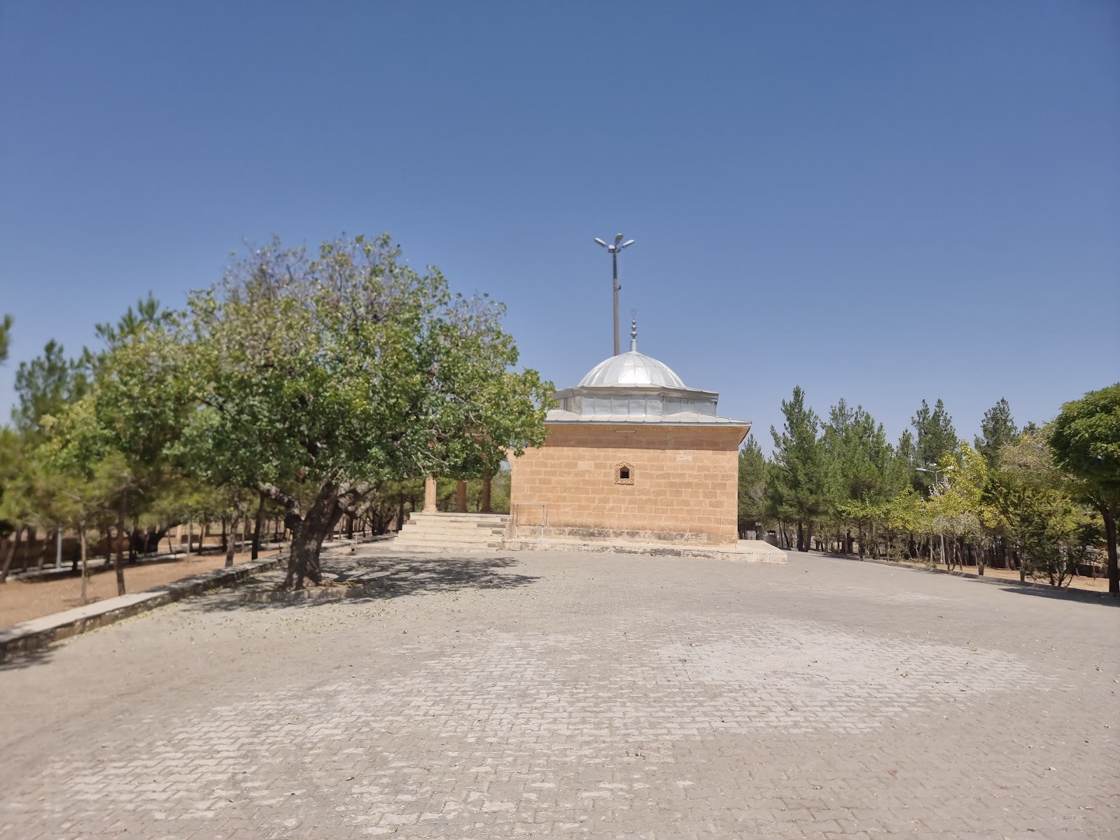 Hasiye Hazreti Türbesi — fotoğraf 2