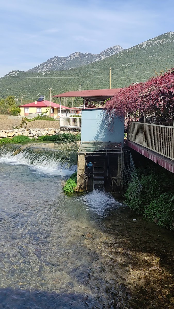 HAŞTIRIN PARK OTEL& RESTAURANT — photo 3