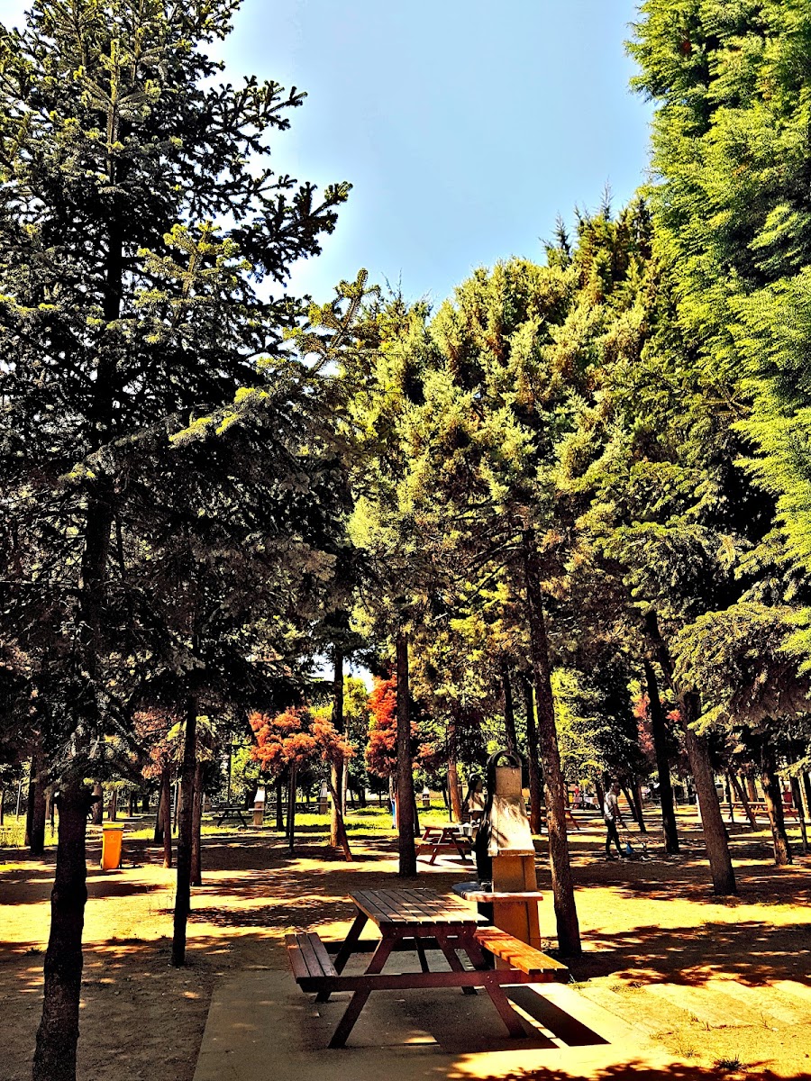 Hatıra Koruluğu — fotoğraf