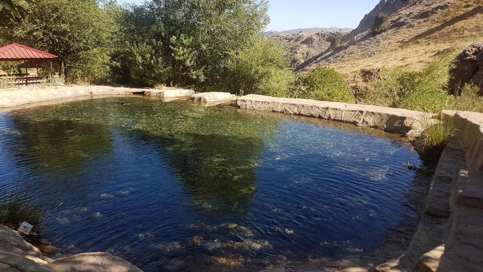Hatıra Ormanı — photo 2