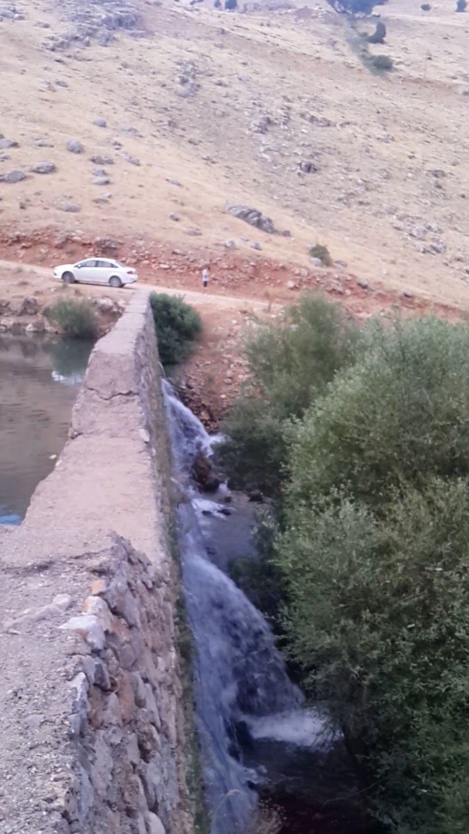 Hatıra Ormanı — photo 3