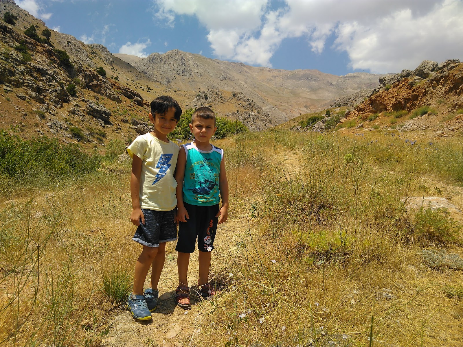Hatıra Ormanı — photo 4