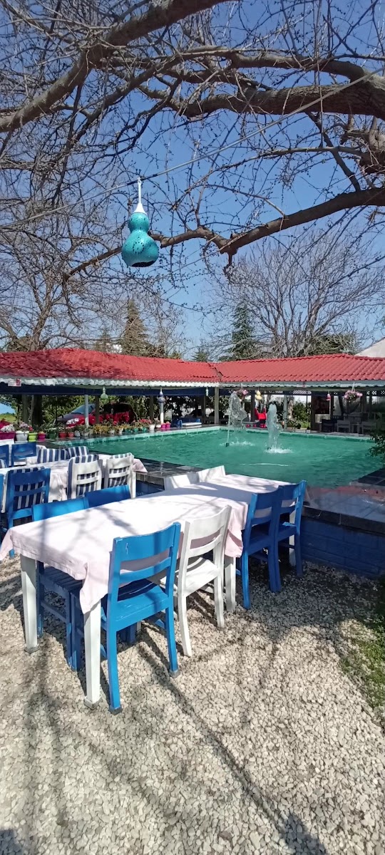 HAVUZLU BAHÇE KİLO İLE ET VE KAHVALTI — fotoğraf 5