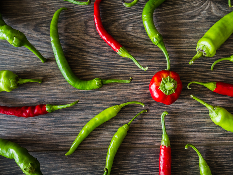 Hayat Lokantası — fotoğraf 7