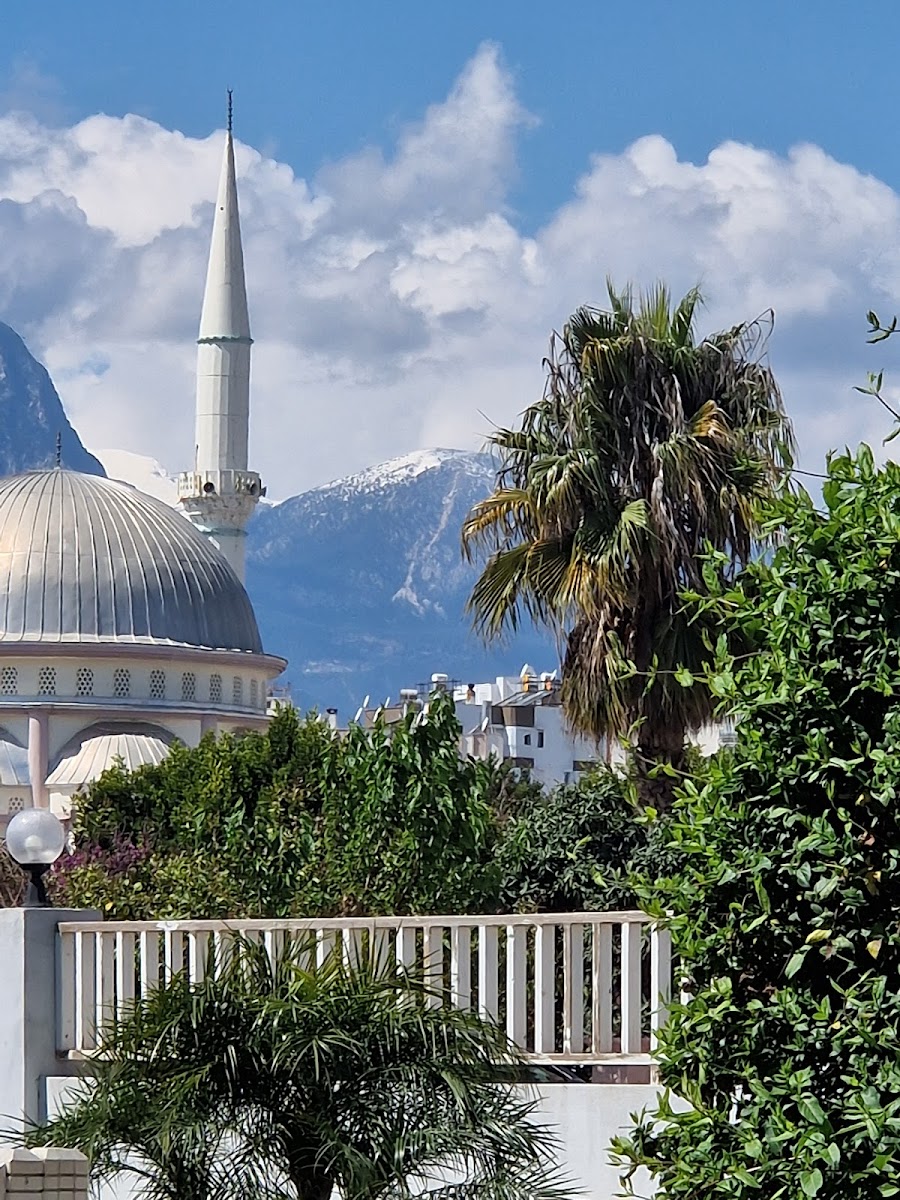 HayatPark — fotoğraf 2