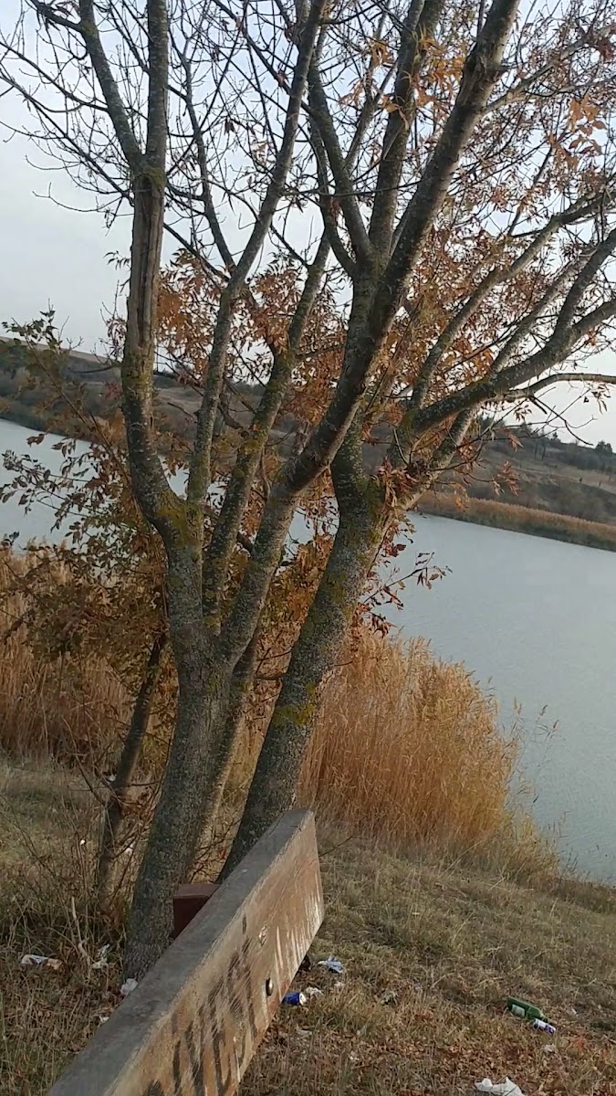 Hayrabolu Göleti — photo 3