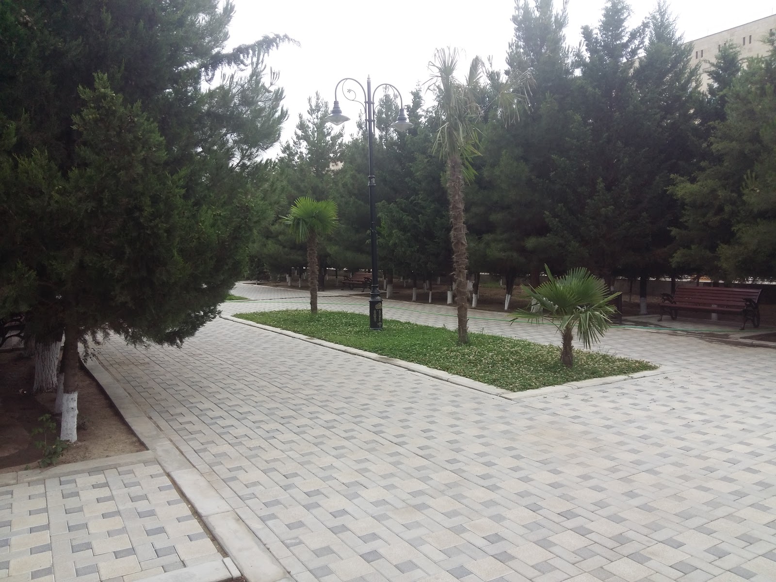 H.Eliyev Parki — photo