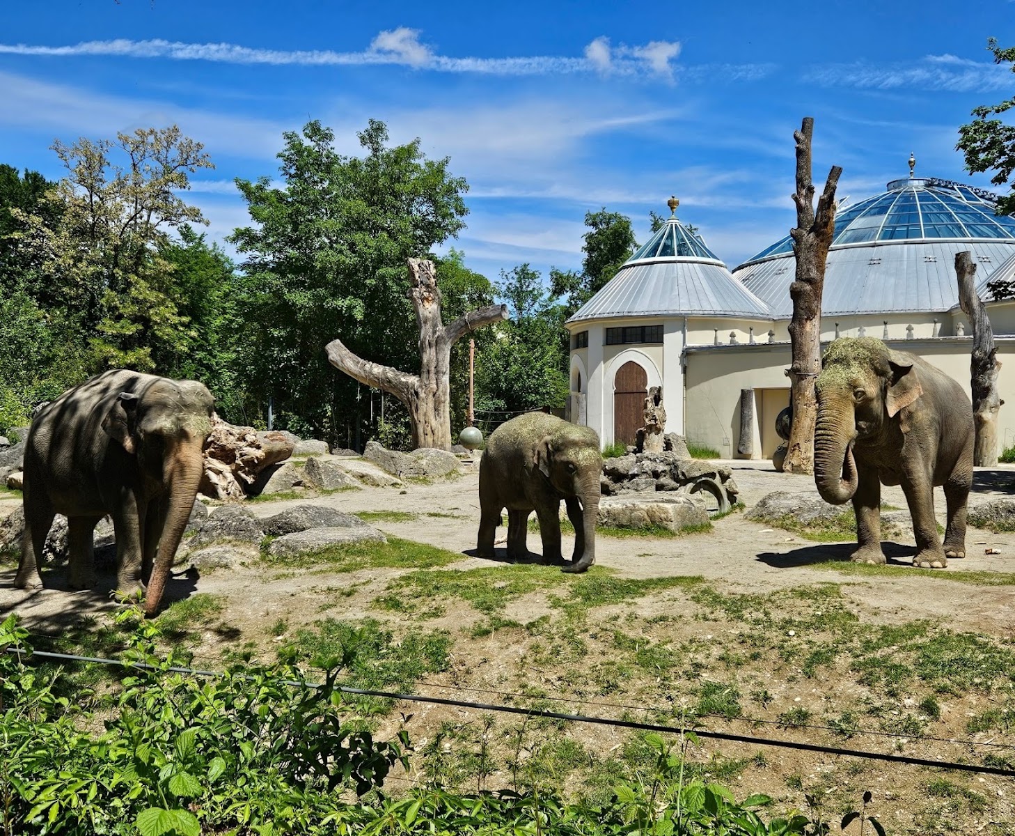 Hellabrunn Zoo — photo