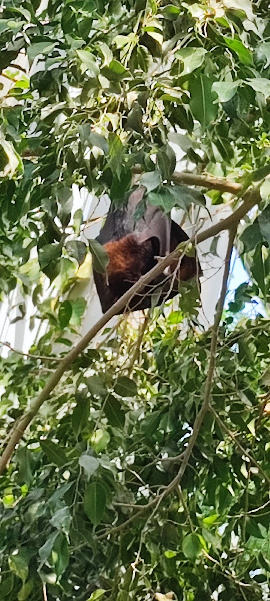 Hellabrunn Zoo — photo 3