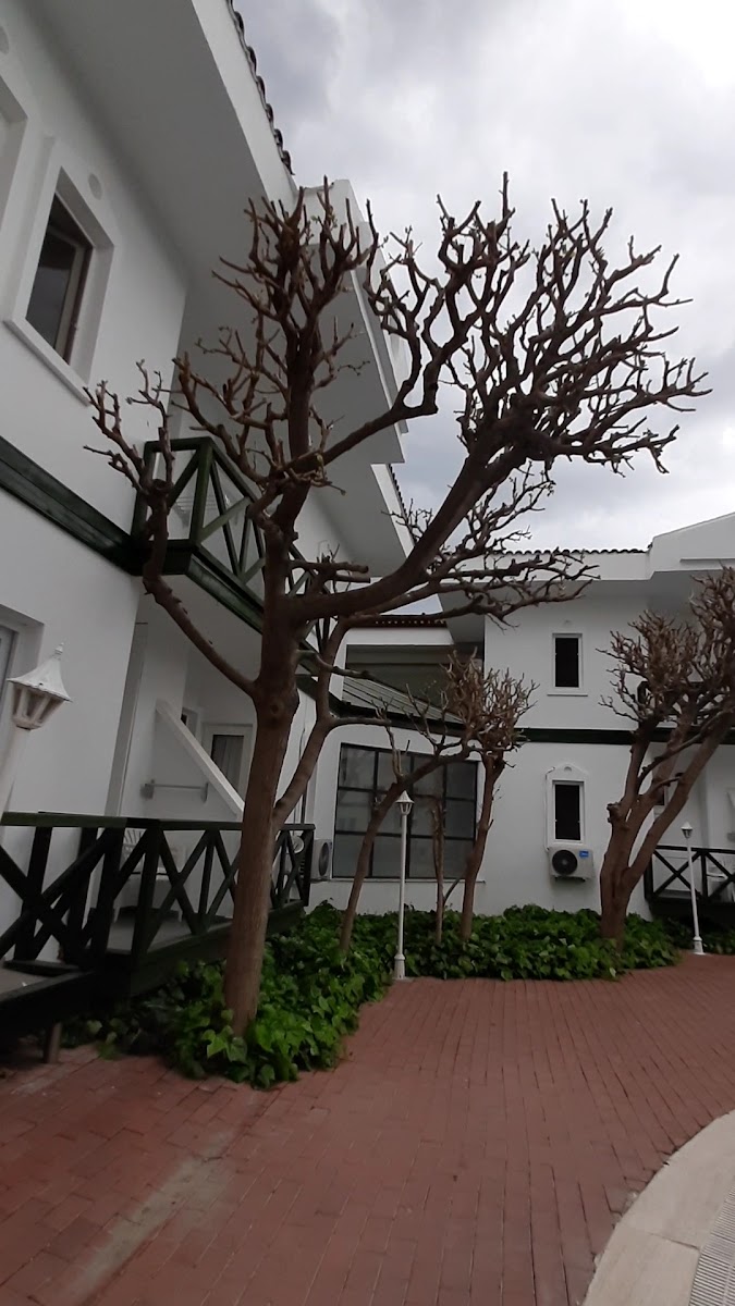 Herakles Termal Otel — fotoğraf 5