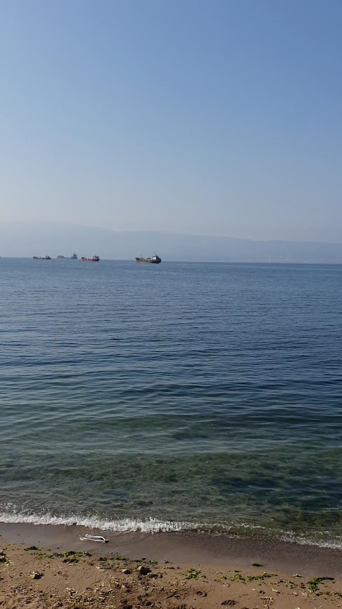 hereke sahil — fotoğraf 5