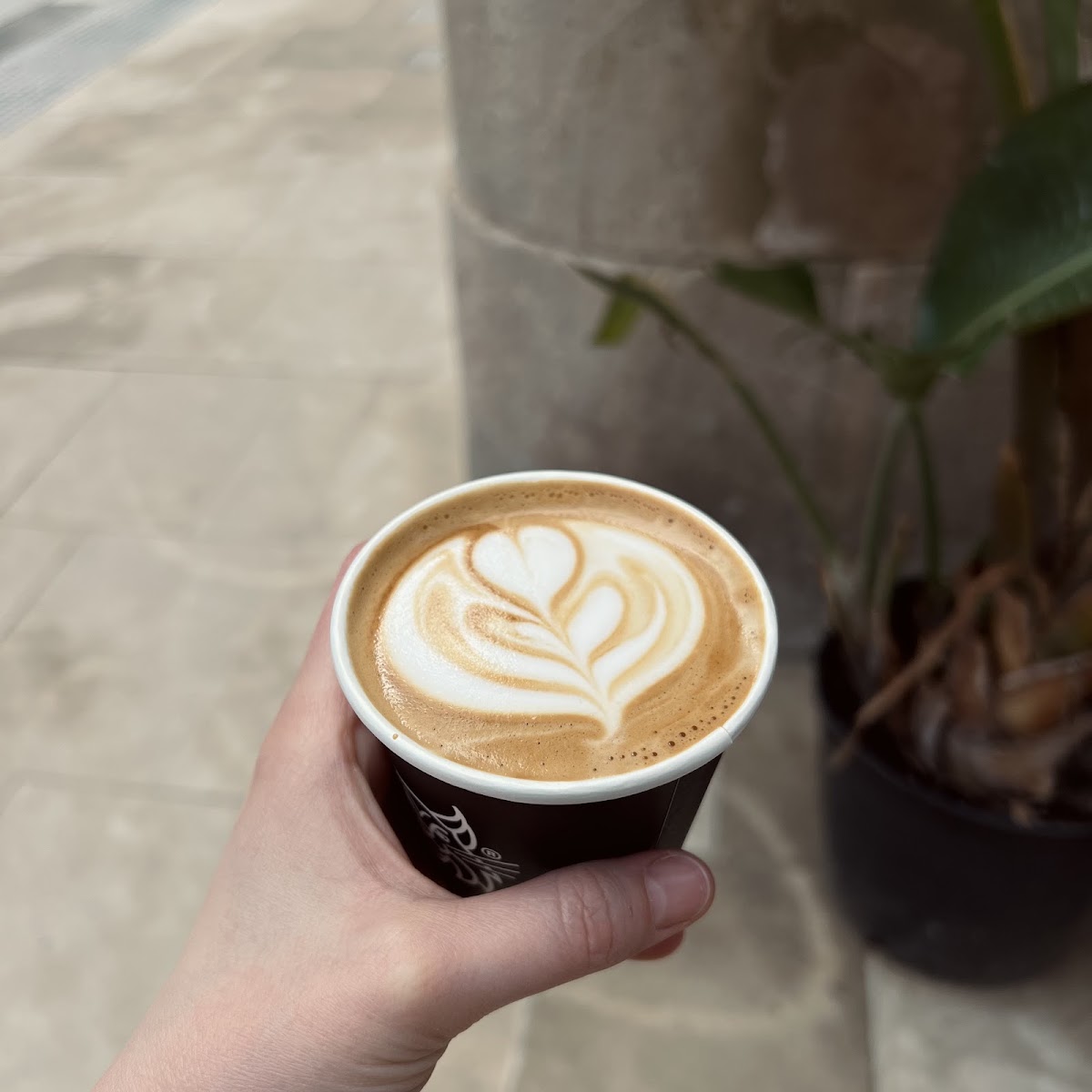Hidden Coffee Roasters - El Born — photo 11