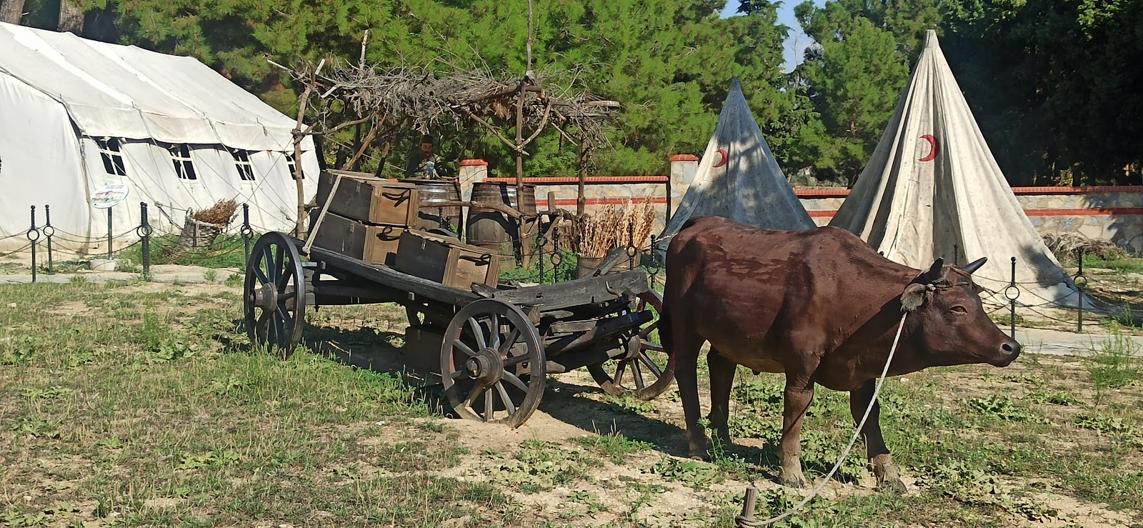 Hilal-i Ahmer — fotoğraf 5