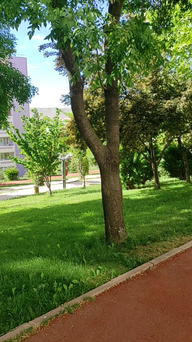 Hilal Park — fotoğraf 3