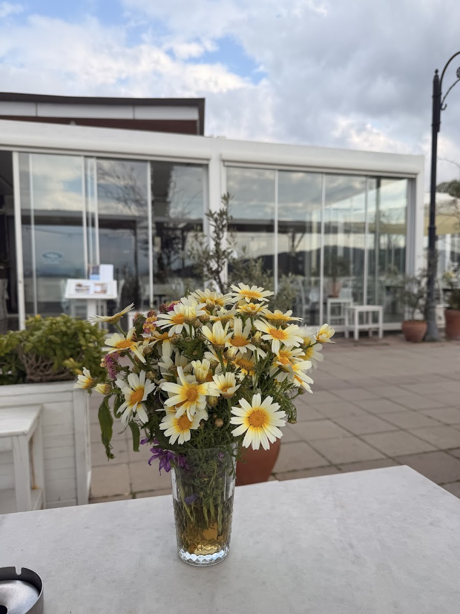 Hilmi Restaurant — fotoğraf 2