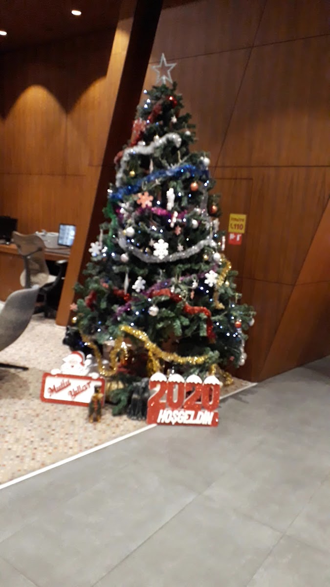 Hilton Garden Inn Eskisehir — fotoğraf 3