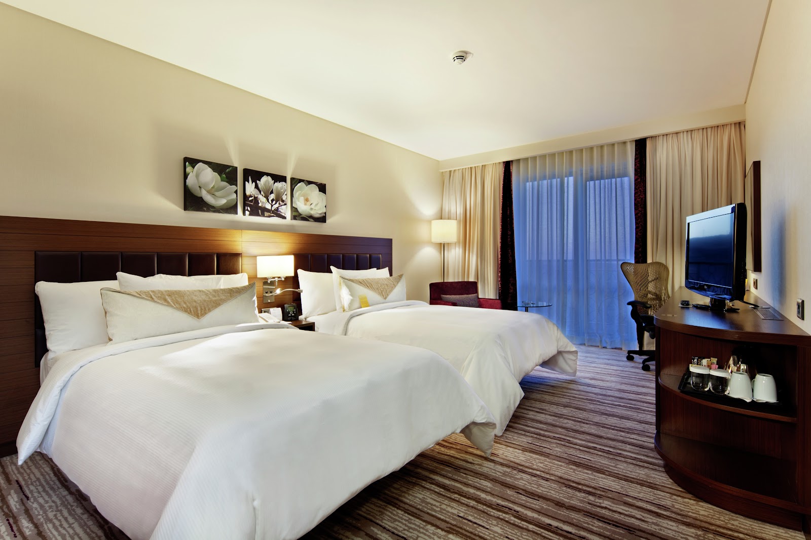 Hilton Garden Inn Mardin — fotoğraf 4