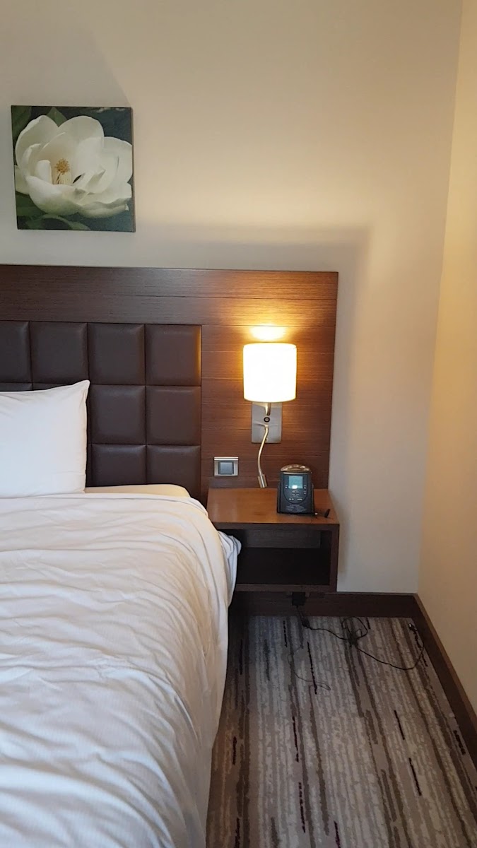 Hilton Garden Inn Şanlıurfa — fotoğraf 3