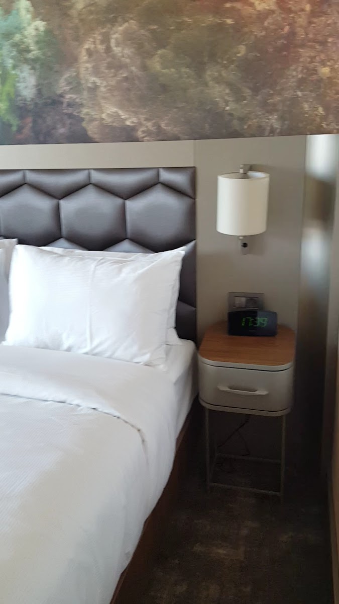 Hilton Garden Inn Yalova — fotoğraf 3