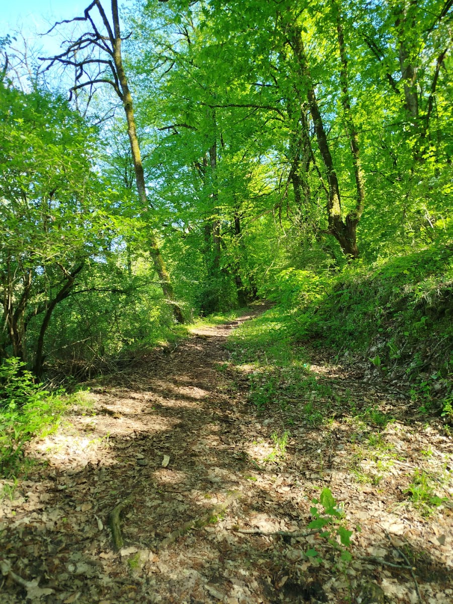 Hirkan Millî Parkı — photo 3