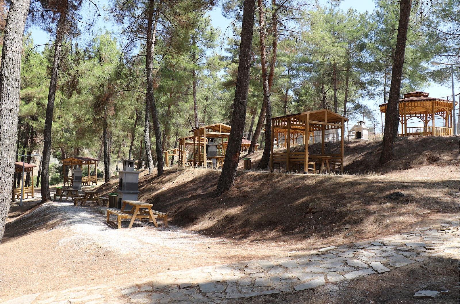 Hisar Çamlığı Tabiat Parkı — fotoğraf