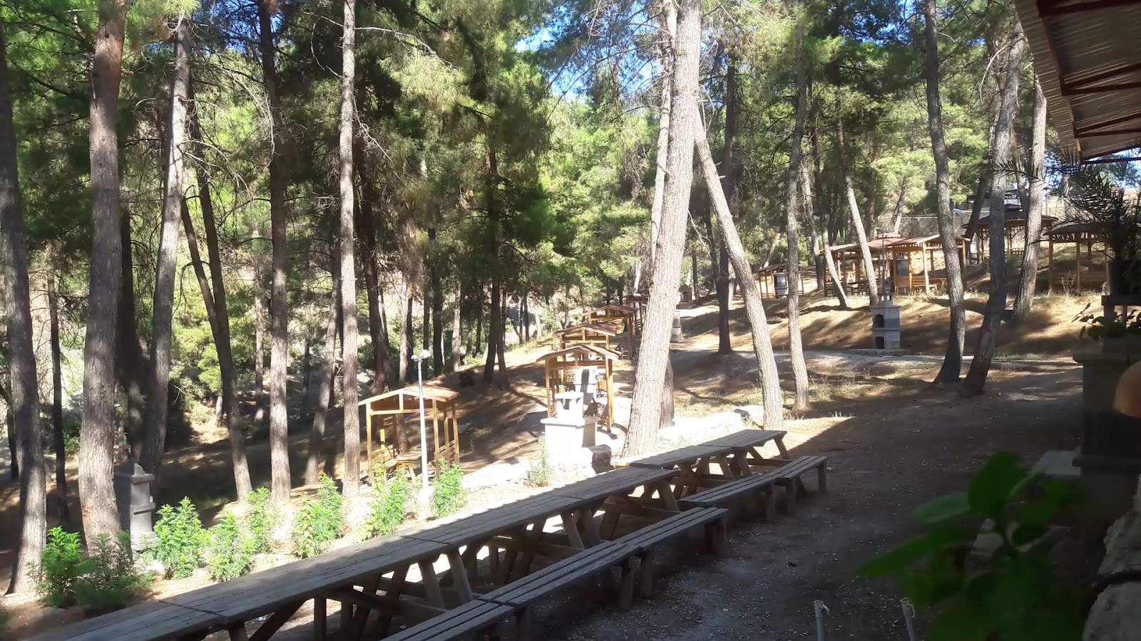 Hisar Çamlığı Tabiat Parkı — fotoğraf 2