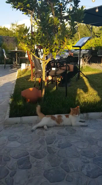Hitaly Garden — fotoğraf 9