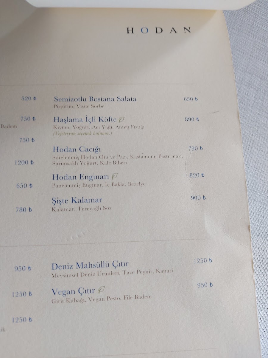 HODAN — photo 4