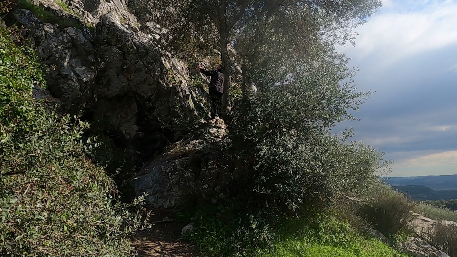 Homeros Vadisi — photo 3