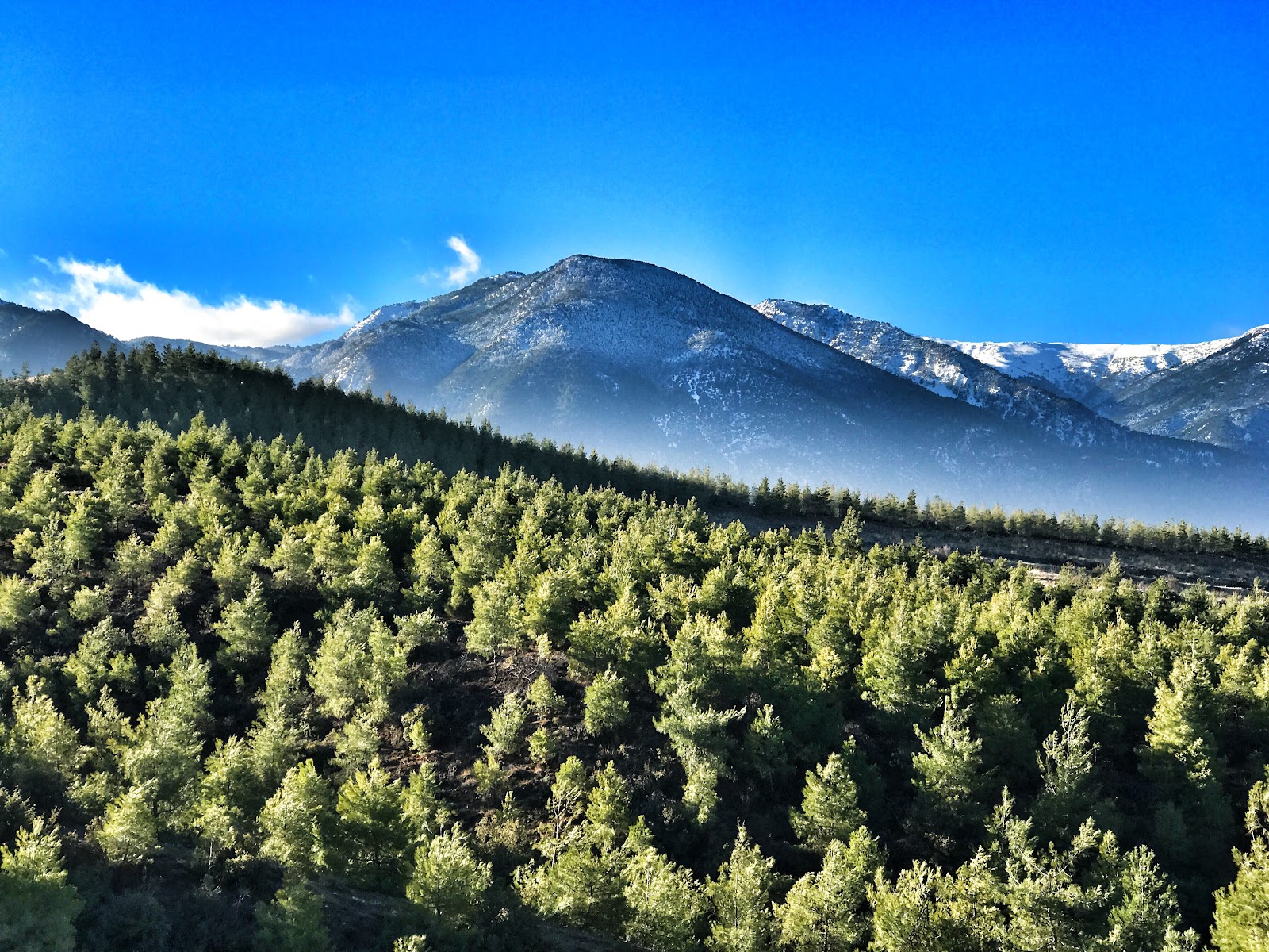 Honaz Dağı Milli Parkı — fotoğraf