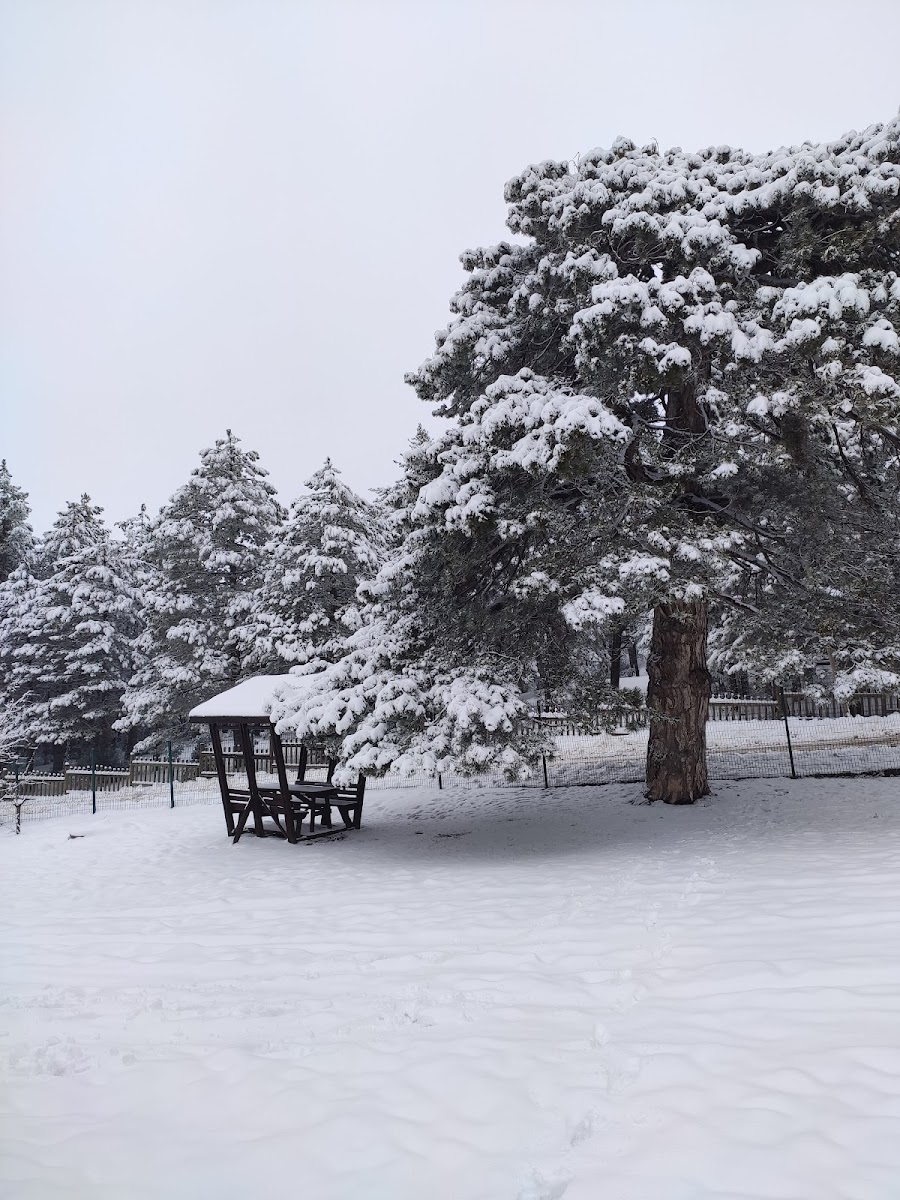 Honaz Dağı Milli Parkı — fotoğraf 5
