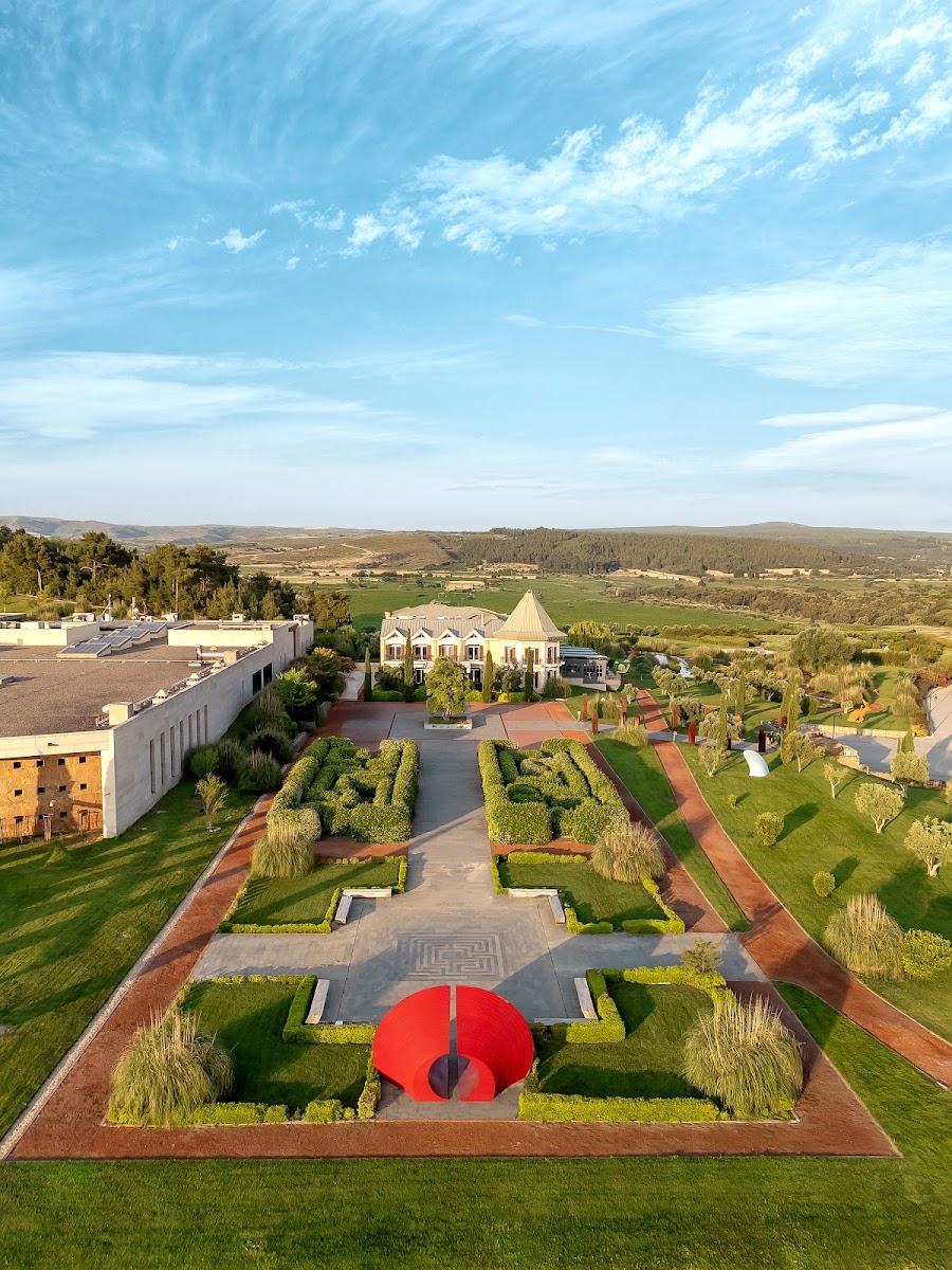 Hotel Caeli & Caeli Winery — fotoğraf 5