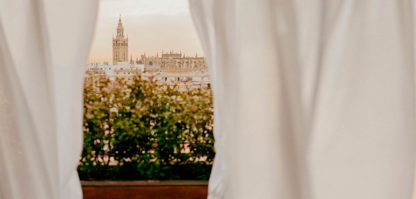 Hotel Colón Gran Meliá - The Leading Hotels of the World — photo 3