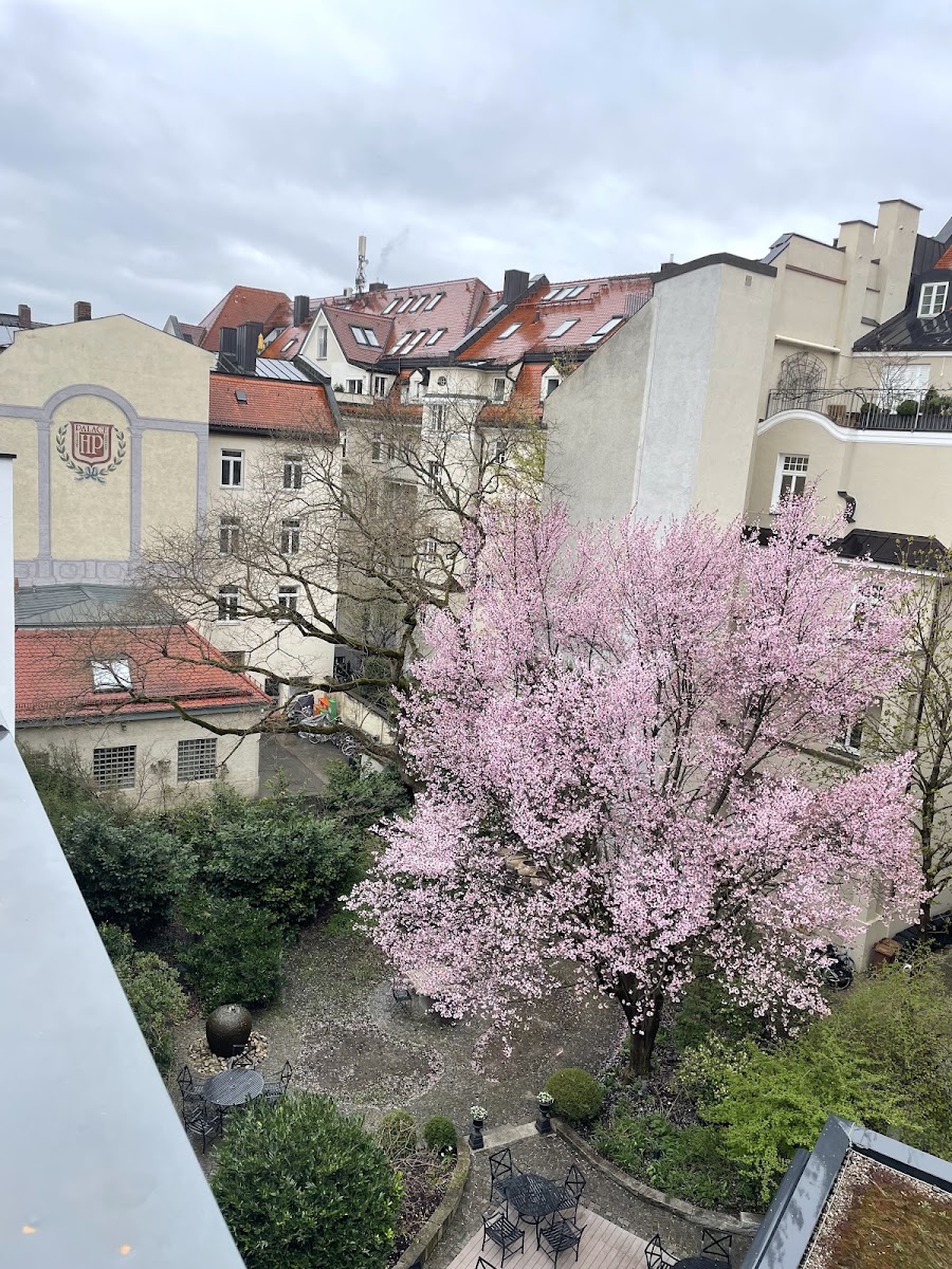 Hotel München Palace — fotoğraf 5
