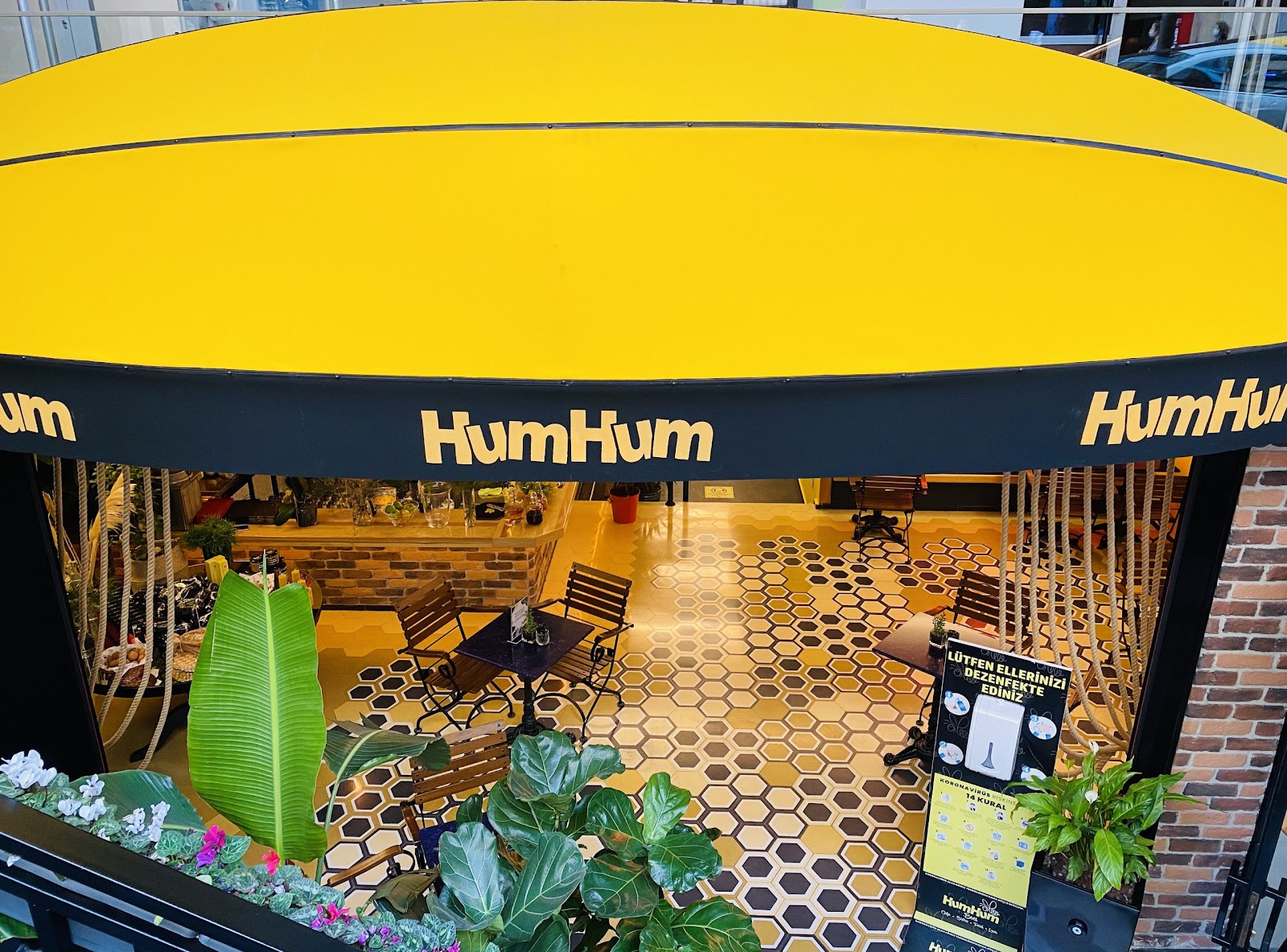 Humhumbees Düzce — fotoğraf