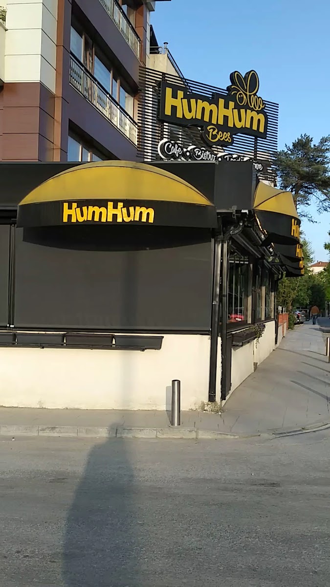 Humhumbees Düzce — fotoğraf 3