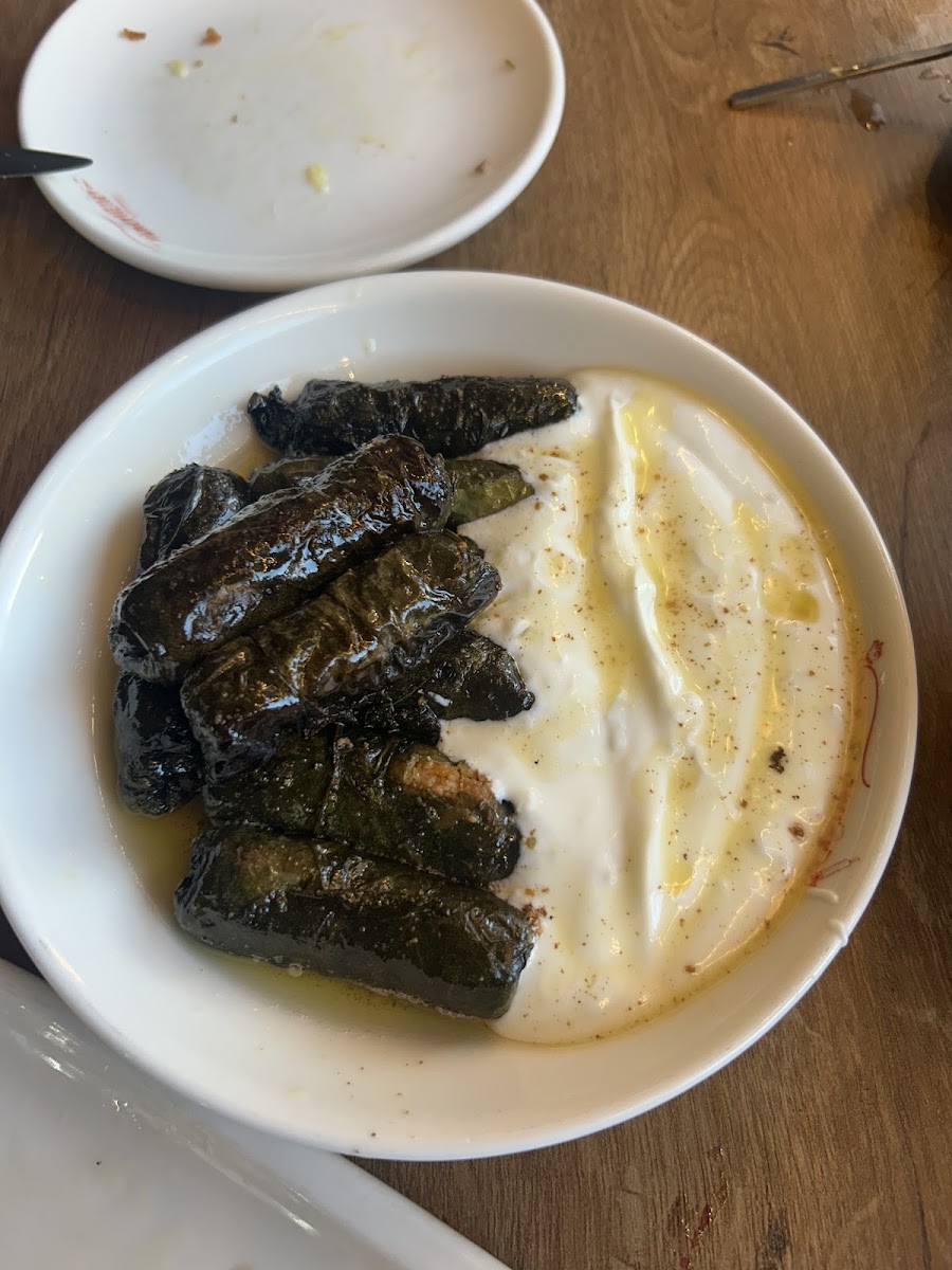 Hünerli Eller — fotoğraf 10