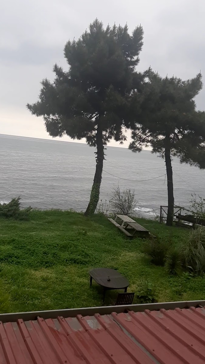 Huseyin Hotel — fotoğraf 4