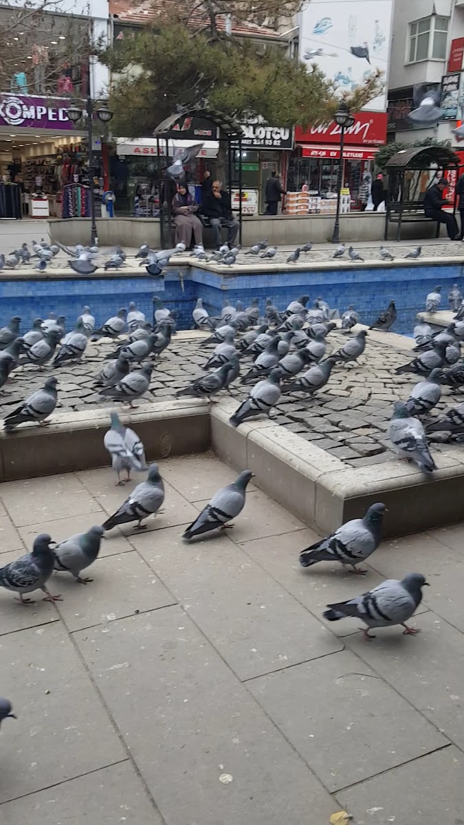 Huseyin Kahya Parki — fotoğraf 3